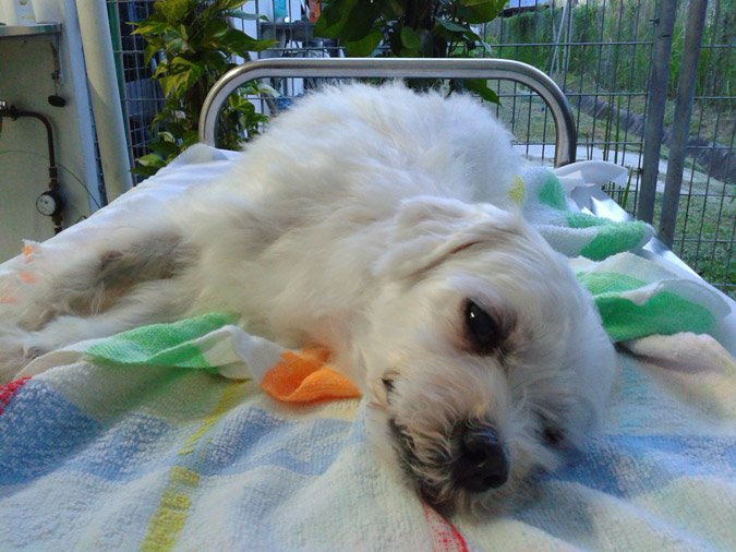 This is before we send him off for cremation. Extremely sad moments...