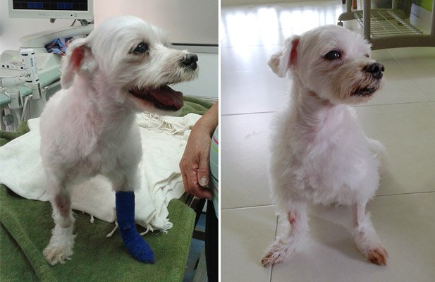 Happy hospitalized and recovering at home