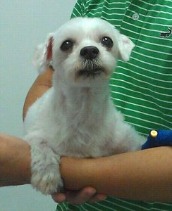 Happy recovering at the hospital