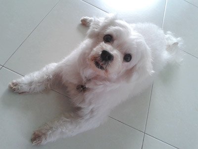 Happy during the good times