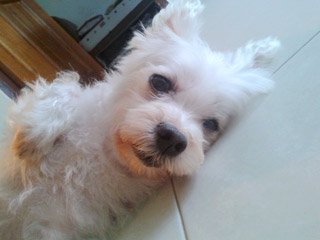 Happy at one of the healthy days